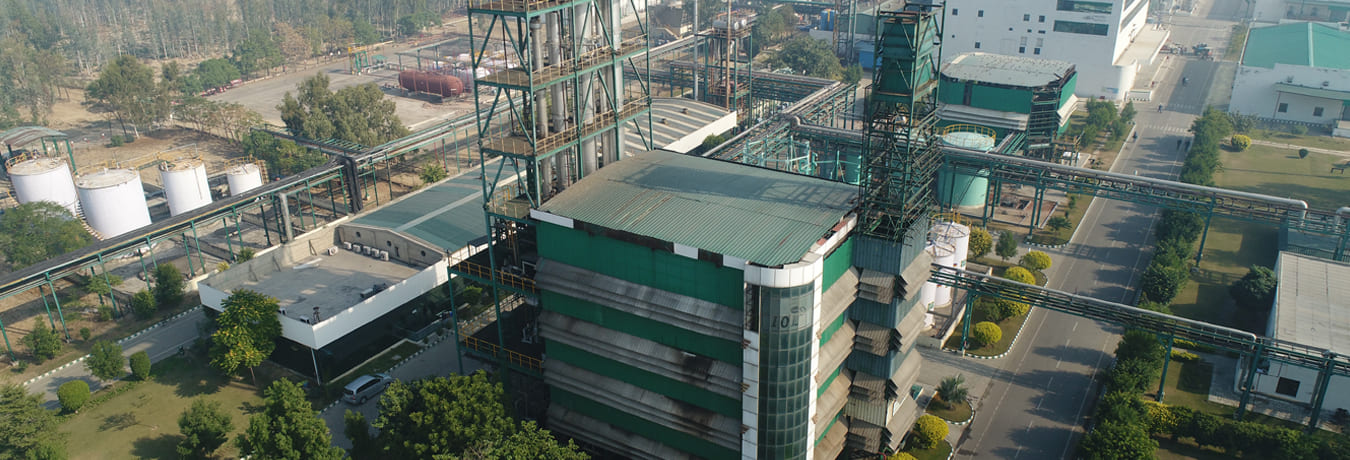 API and specialty chemicals portfolios diversification